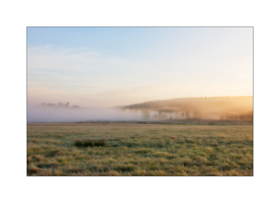 Goldner Oktobermorgen