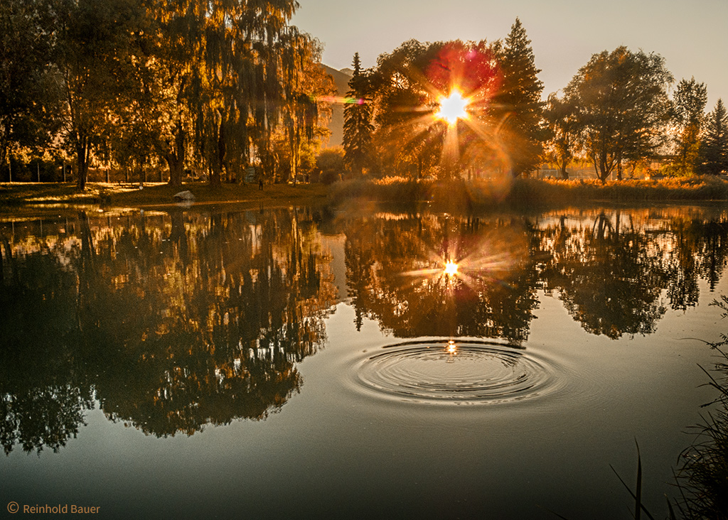 Goldrainer Herbst