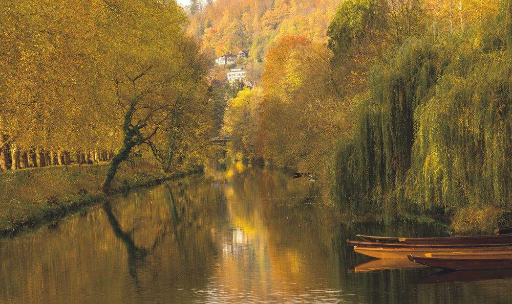 Goldrausch am Neckar