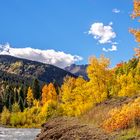 Goldrausch in Silverton