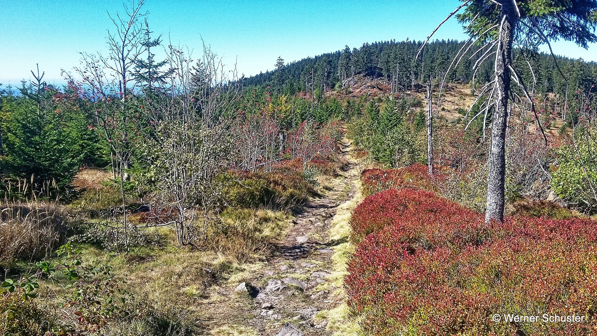 Goldsteig Wanderweg