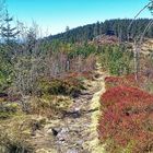 Goldsteig Wanderweg