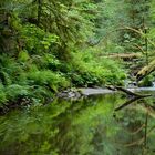 Goldstream River