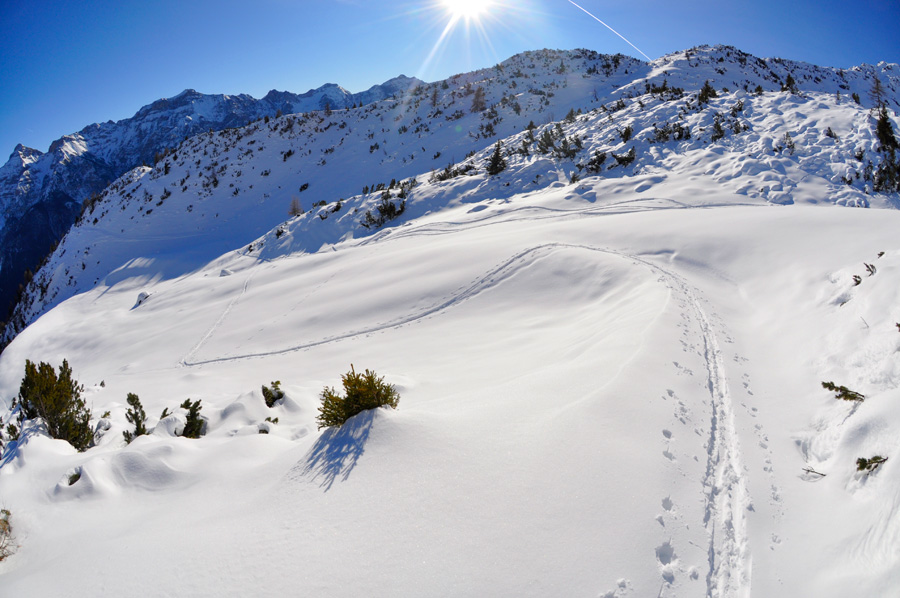 Goldsutte im Stubaital