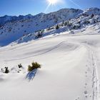 Goldsutte im Stubaital