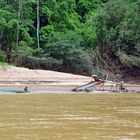 Goldwäscher auf dem Rio Tambopata in Peru