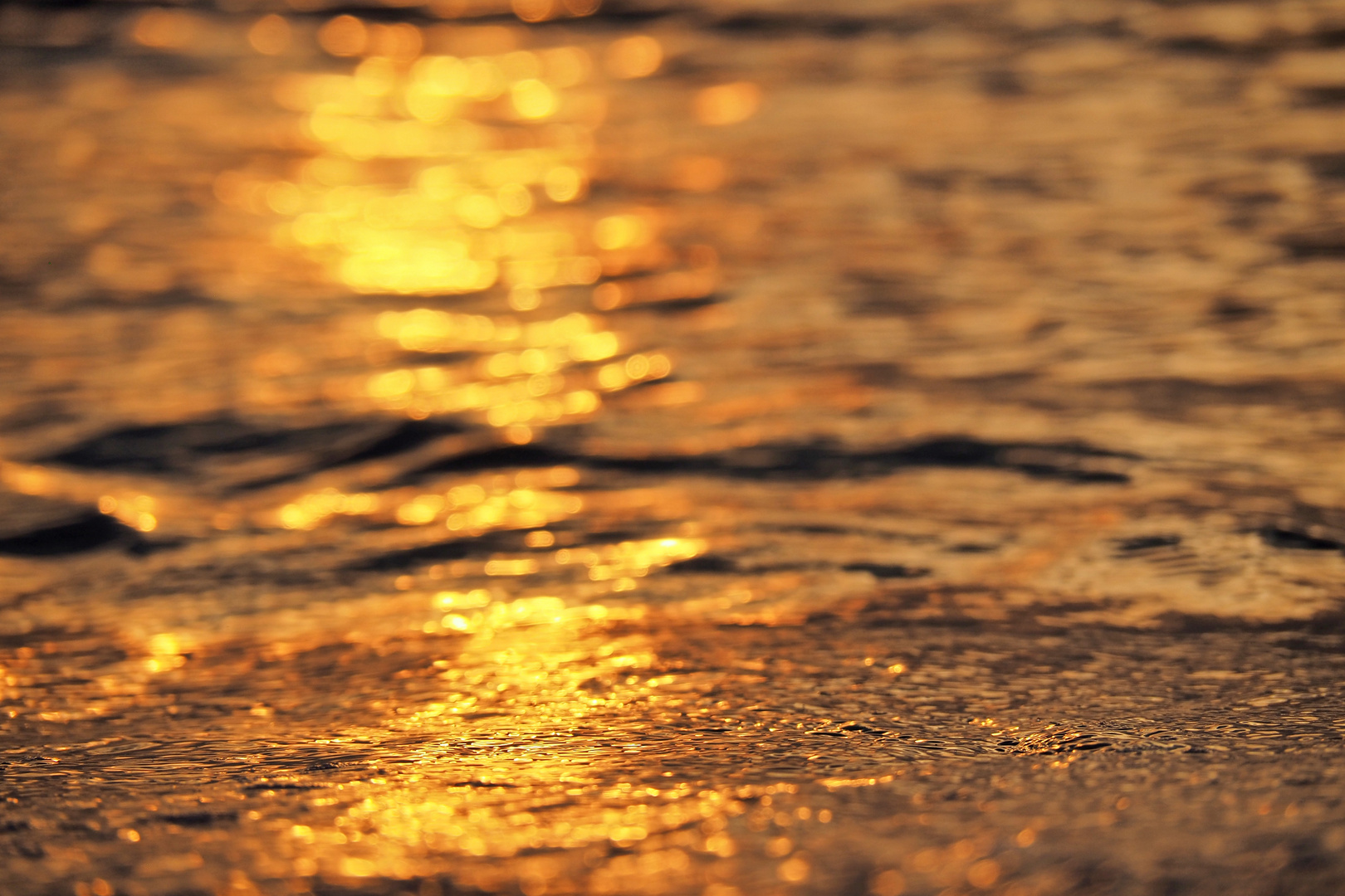 gold.wasser