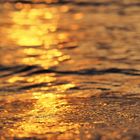 gold.wasser