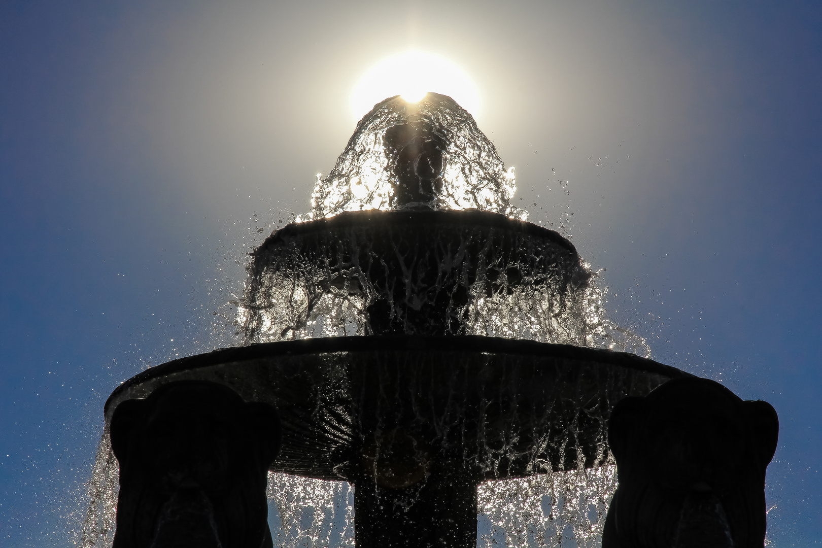 Goldwasser Foto & Bild europe, france, paris Bilder auf