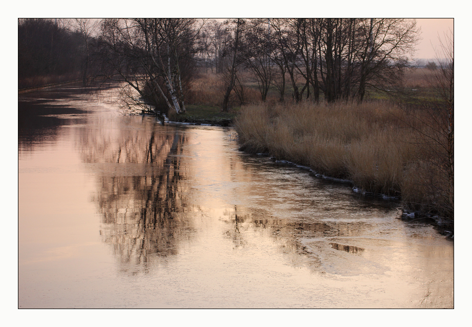 Goldwasser im Kanal - das gibt`s nur hier! :-)