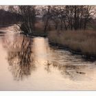 Goldwasser im Kanal - das gibt`s nur hier! :-)