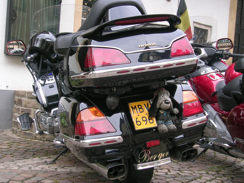 GoldWing 1