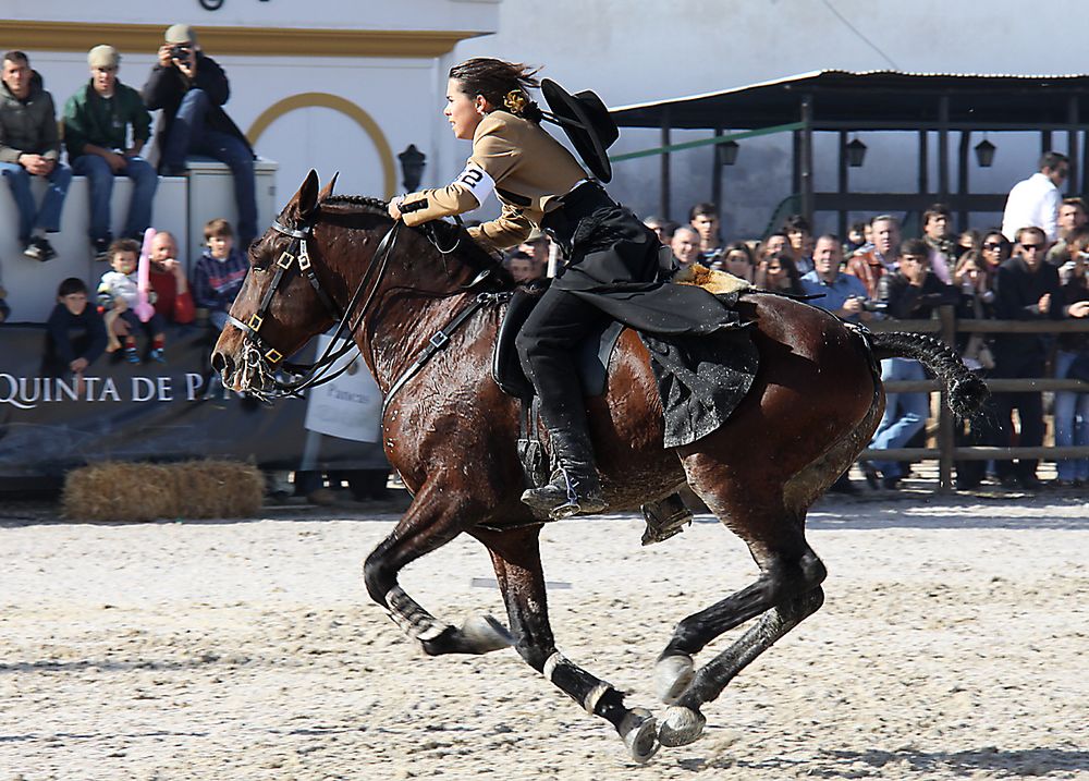 Golega 2010 , Lady im Speed Trail