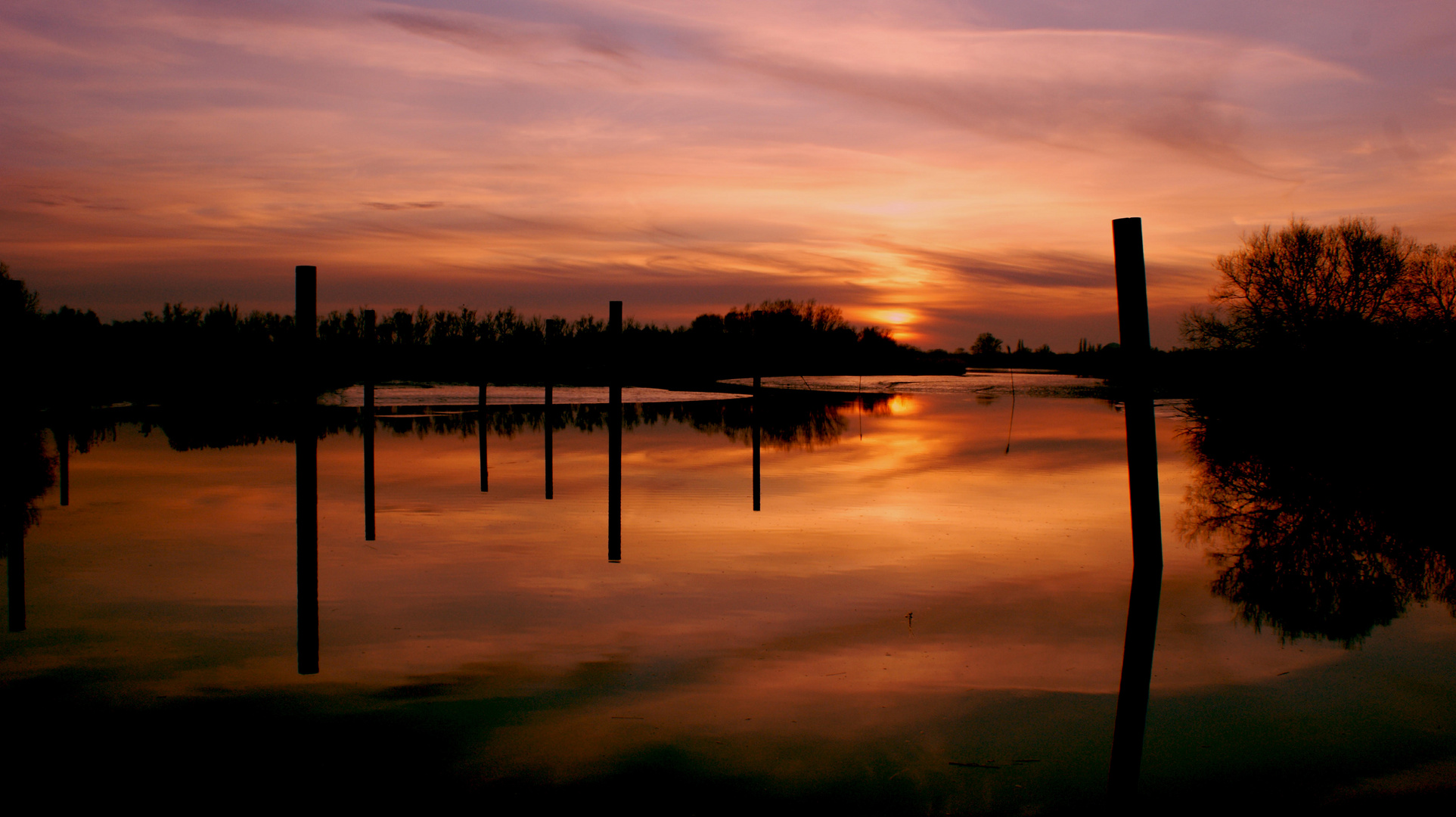 golener Winterabend am Elbedeich.. II