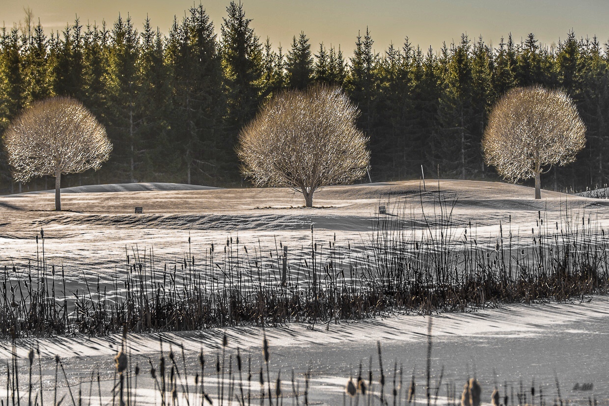 Golf course in winter.