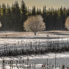 Golf course in winter.