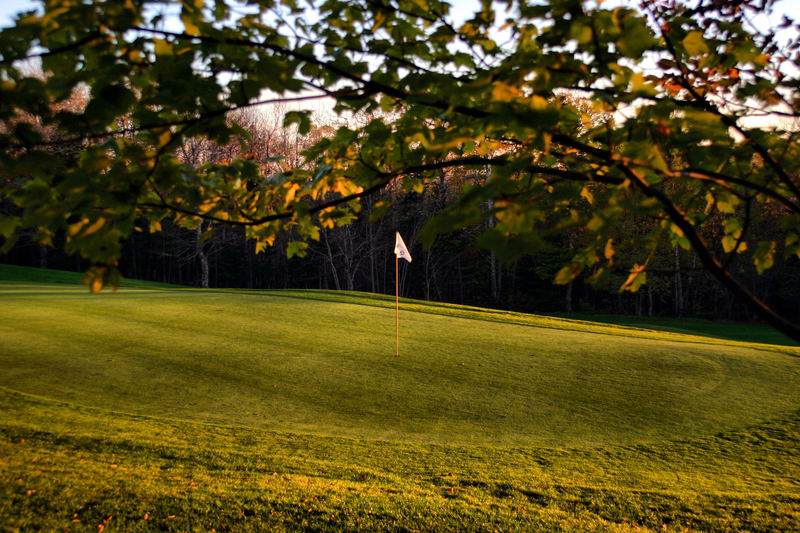 Golf Green in Fall