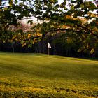 Golf Green in Fall