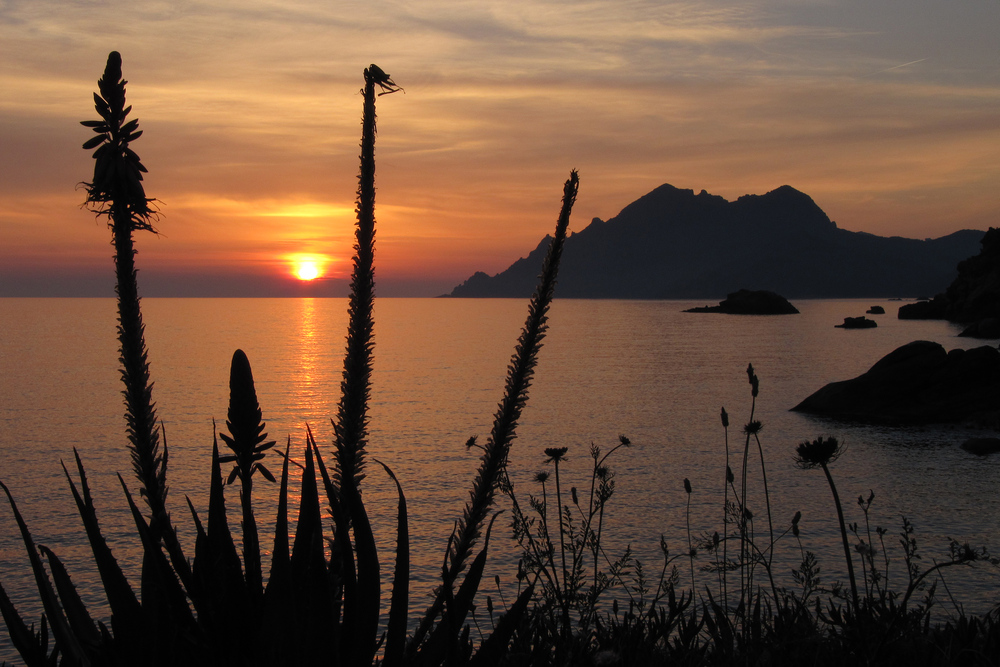 Golf von Porto Foto & Bild europe, france, corsica Bilder auf