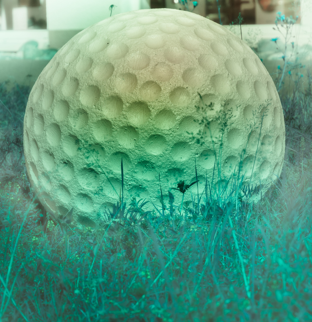 Golfball oder riesiger Pilzkopf!?