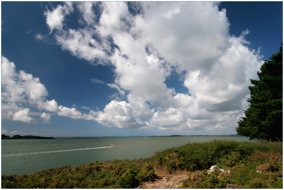 Golfe du Morbihan #4