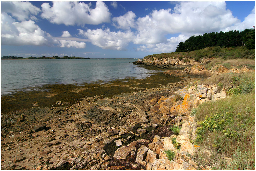 Golfe du Morbihan #5