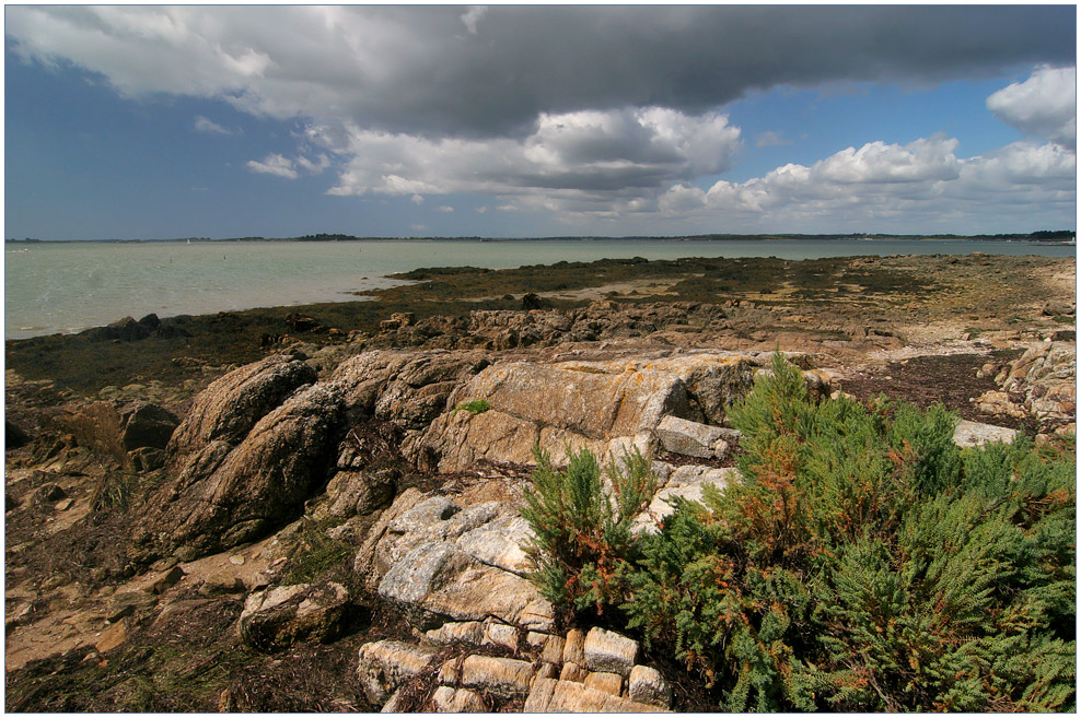 Golfe du Morbihan #6