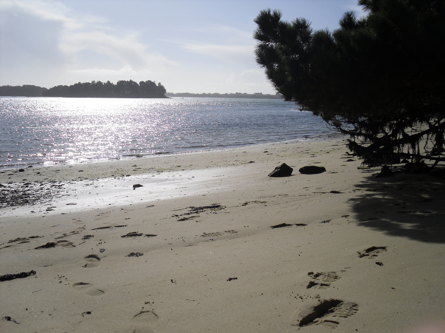 golfe du Morbihan