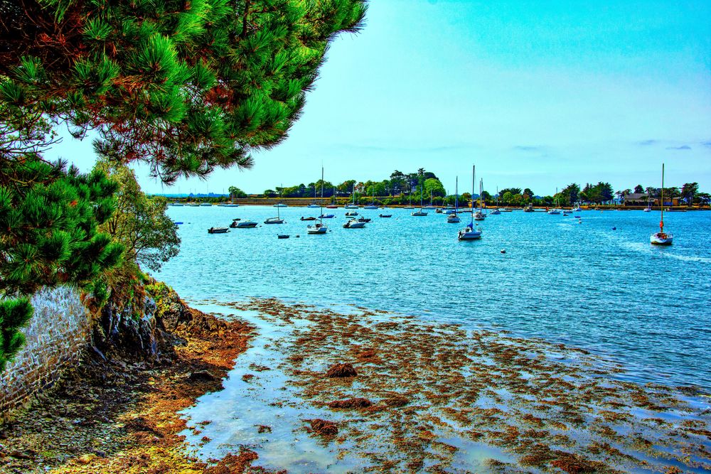 Golfe du Morbihan photo et image france, world, bretagne