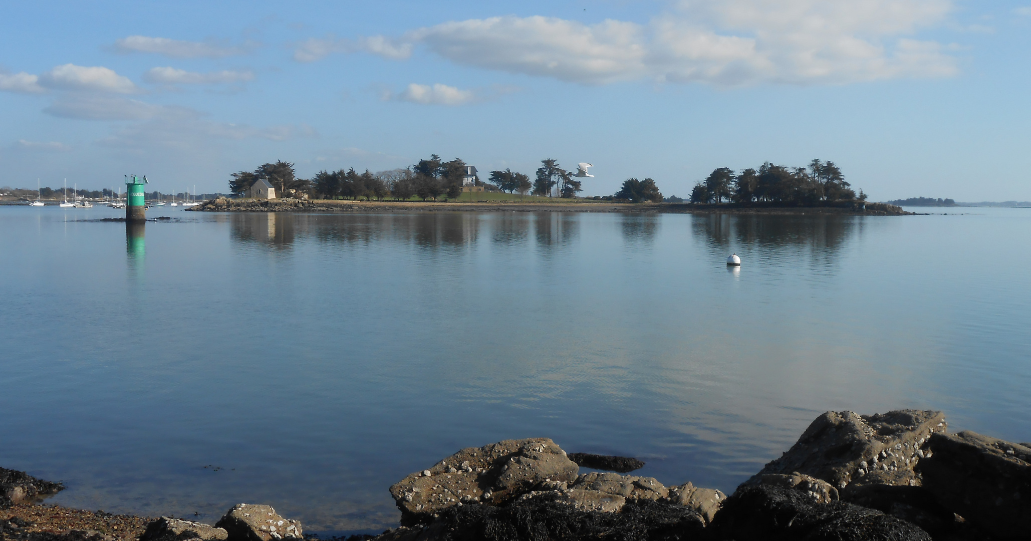 Golfe du Morbihan: Ile de Boedic.