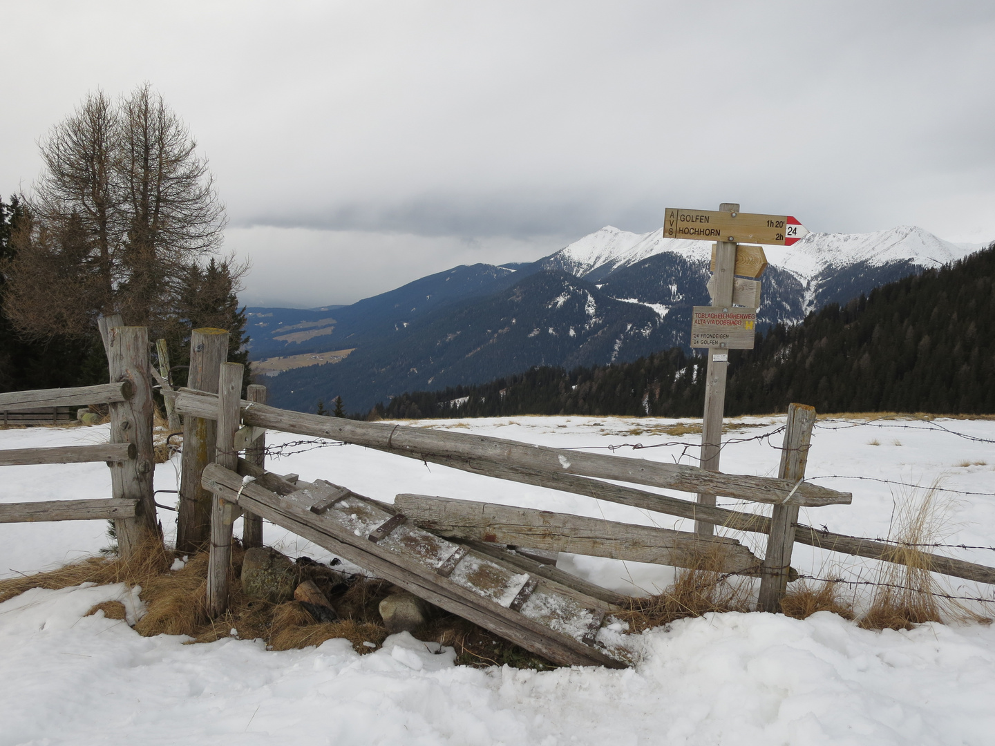 Golfen, 2493 m