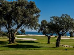 Golfen am Meer