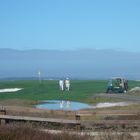 Golfer auf dem Course "Pebble Beach" Kalifornien