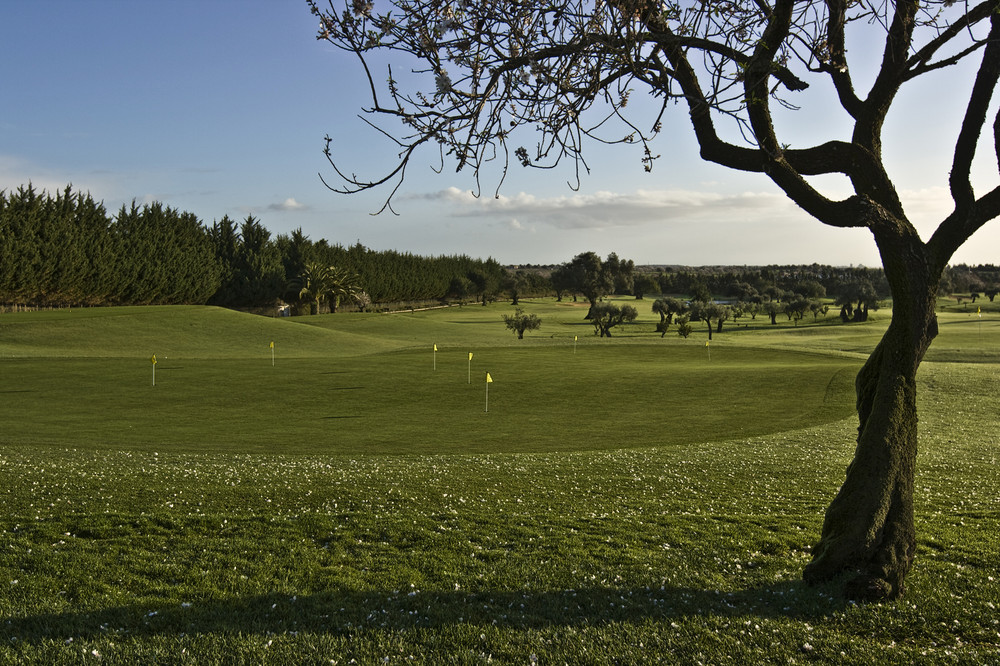 Golferfrühling