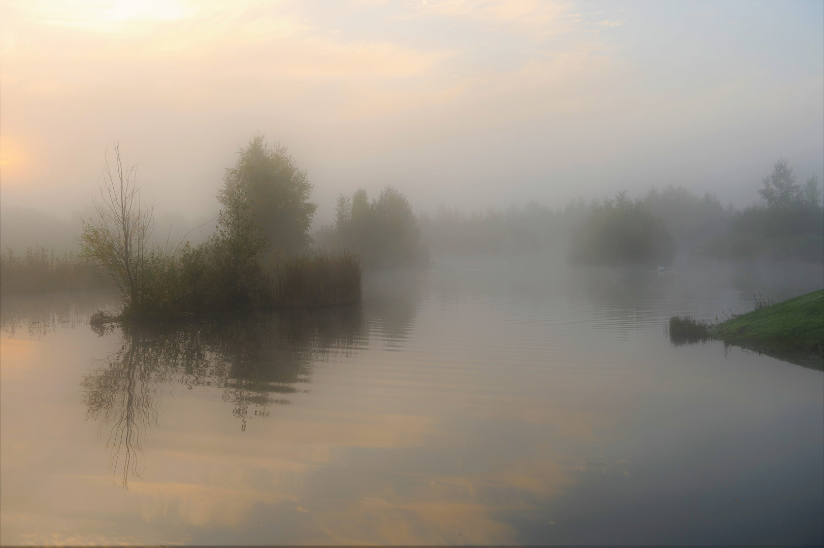 Golflandschaft im Morgennebel - abseits des Fairways