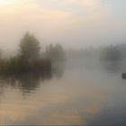 Golflandschaft im Morgennebel - abseits des Fairways