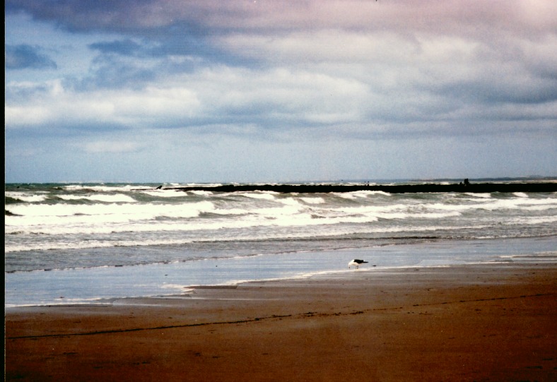 Golfo de San Matías - Río Negro - Argentina