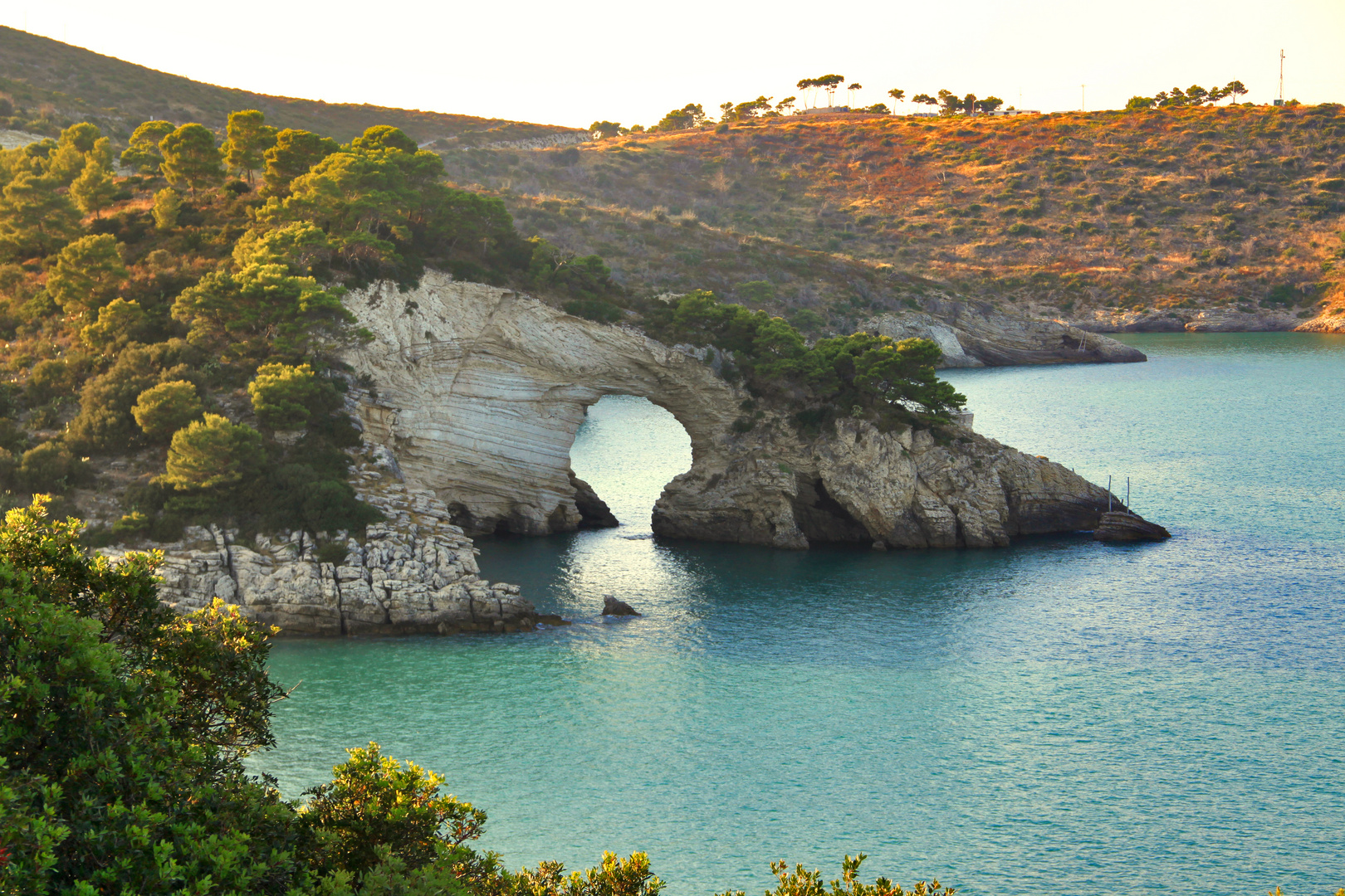 Golfo delle zagare - Vieste