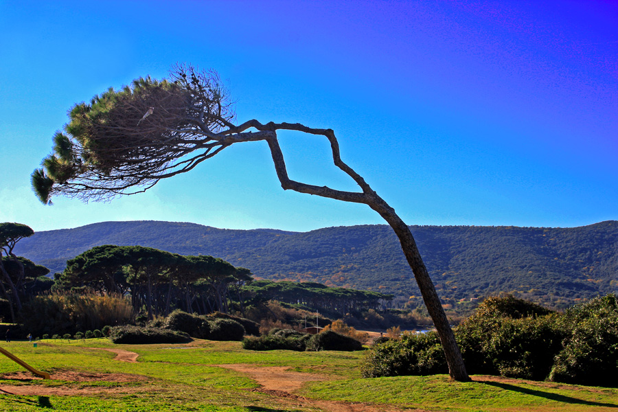 Golfo di Baratti