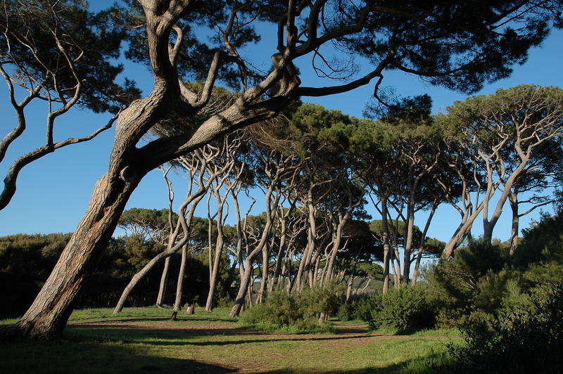 Golfo di Baratti