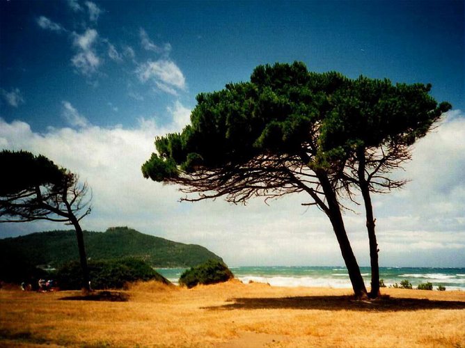 Golfo di Baratti