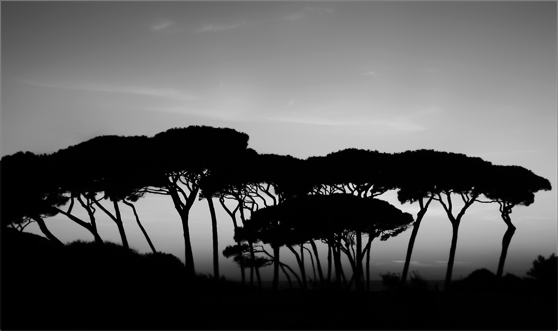 Golfo di Baratti . . . Toscana