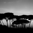 Golfo di Baratti . . . Toscana