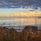 Golfo di Finlandia visto dalla costa svedese