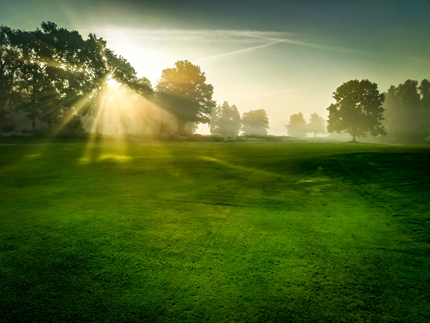 Golfplatz am Morgen 4