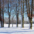 Golfplatz im winter