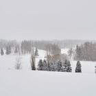 Golfplatz im Winter