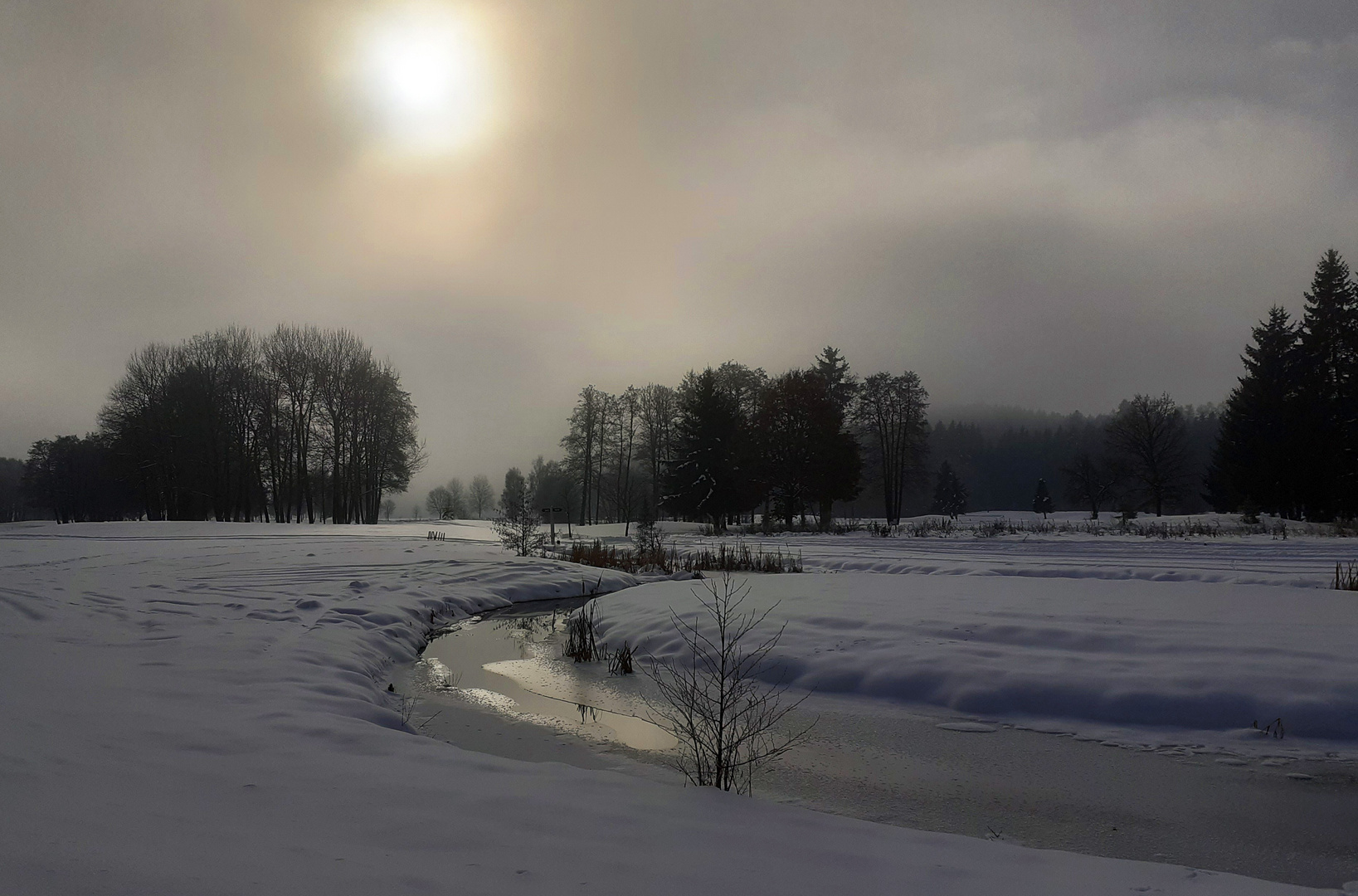 Golfplatz im Winter-Gegenlicht