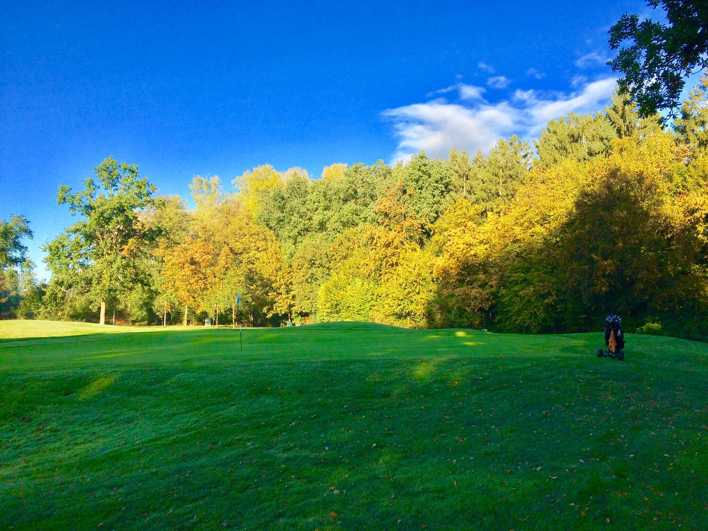 Golfplatz Münster Wilkinghege Grün Bahn 5