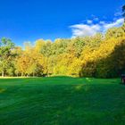 Golfplatz Münster Wilkinghege Grün Bahn 5